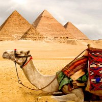 Єгипет відпочинок