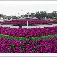 ОАЕ (Об'єднані Арабські Ємірати) Дубаї відпочинок ціни оаэ