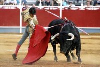 Перелік документів для отримання візи в Іспанію