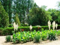 Дитячий табір Піонер