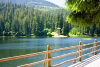 Долина Нарцисів та таємниче Закарпаття 795 грн